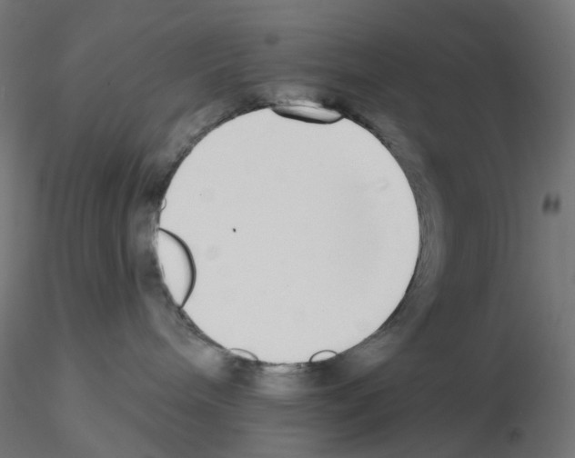 X0000115550240200912181600