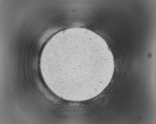 X0000115550242200912181559