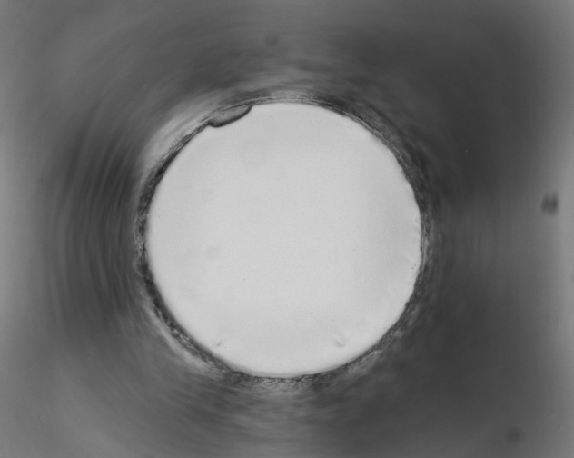 X0000115550245200912181559