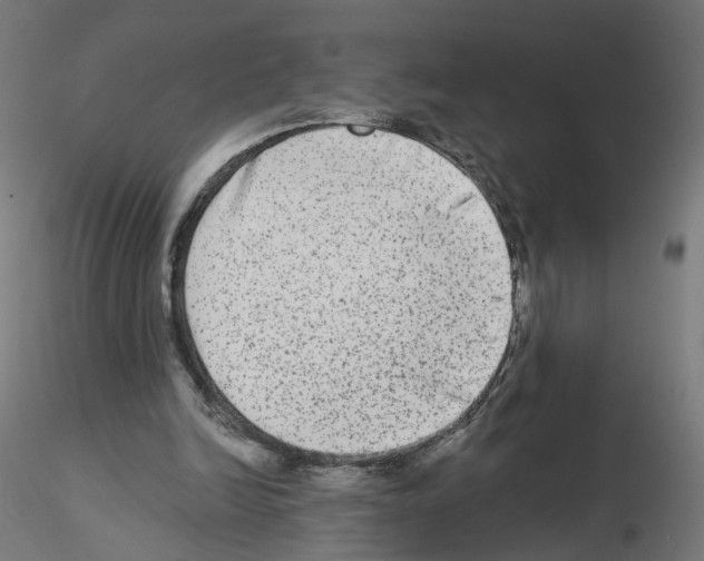 X0000115550246200912181600