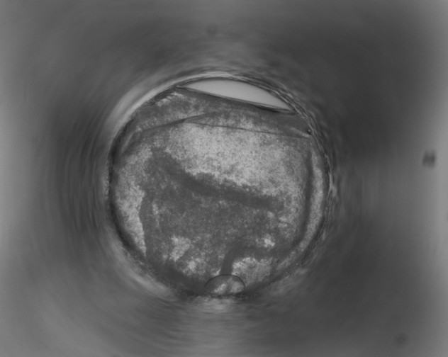 X0000115550247200912181600