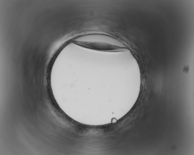 X0000115550248200912181600