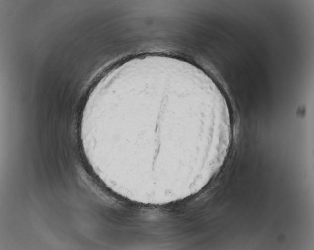 X0000115550249200912181600