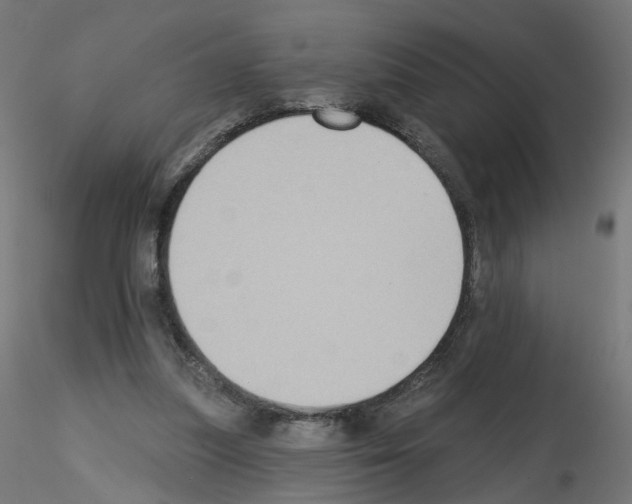 X0000115550251200912181600