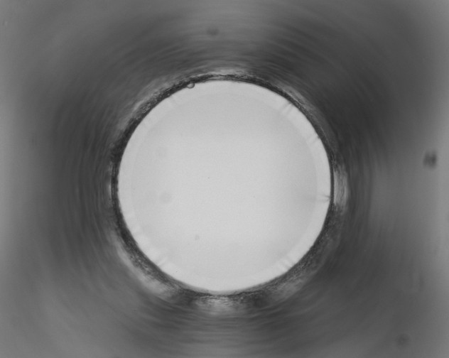 X0000115550253200912181600