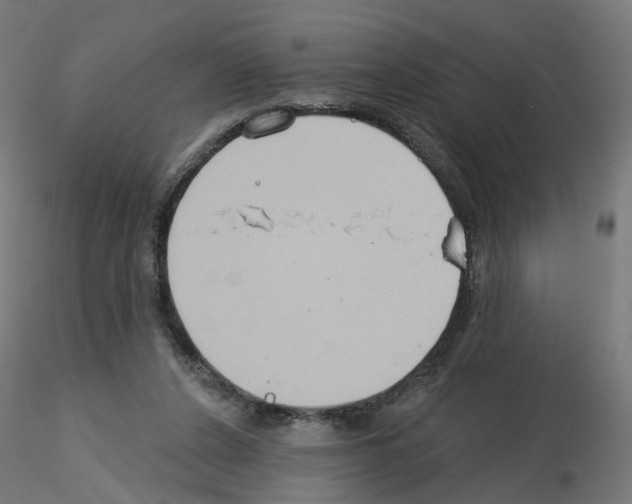 X0000115550256200912181600