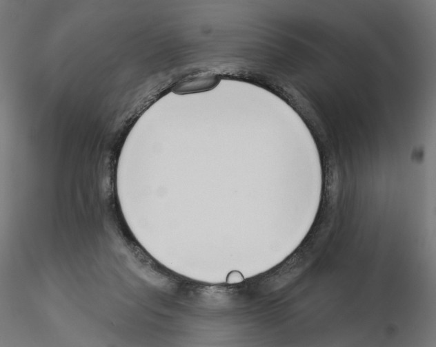 X0000115550261200912181600