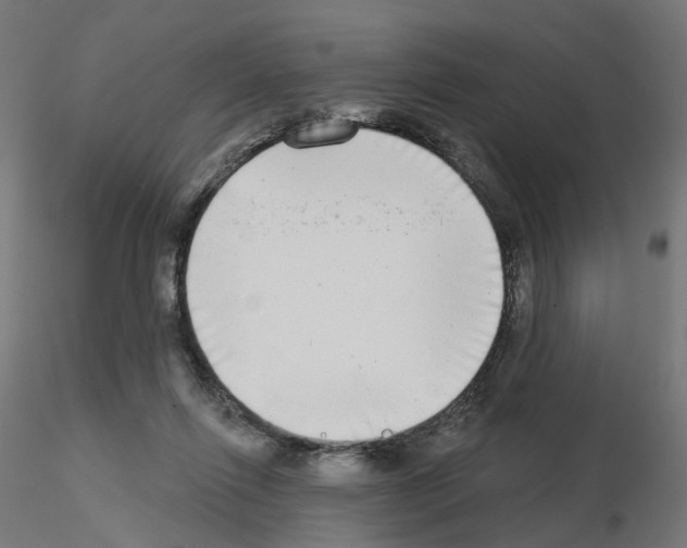 X0000115550262200912181600