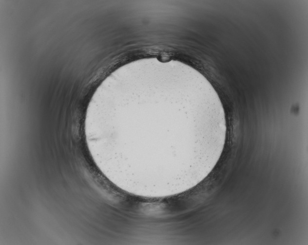 X0000115550266200912181600