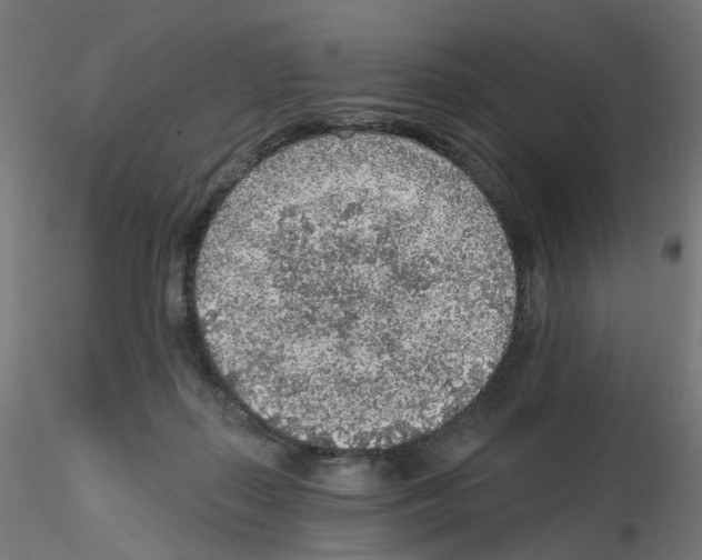 X0000115550267200912181600