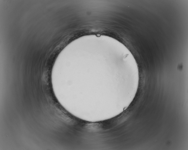 X0000115550269200912181600