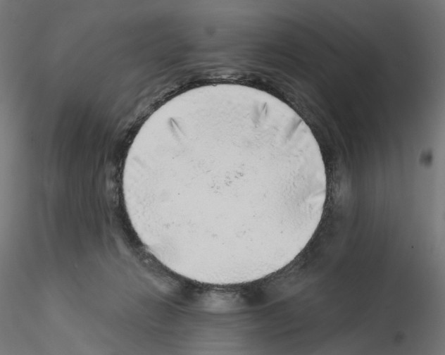 X0000115550270200912181600