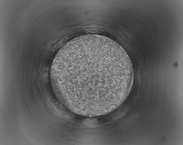 X0000115550271200912181600