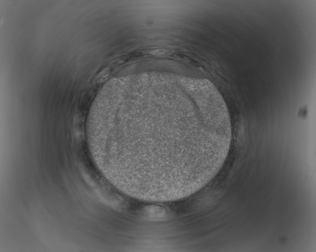 X0000115550272200912181600