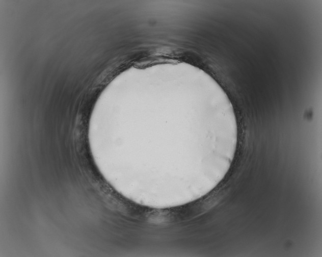 X0000115550273200912181600