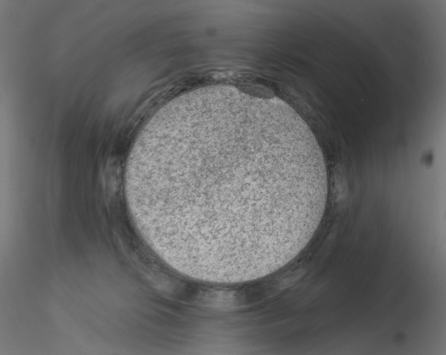 X0000115550276200912181600