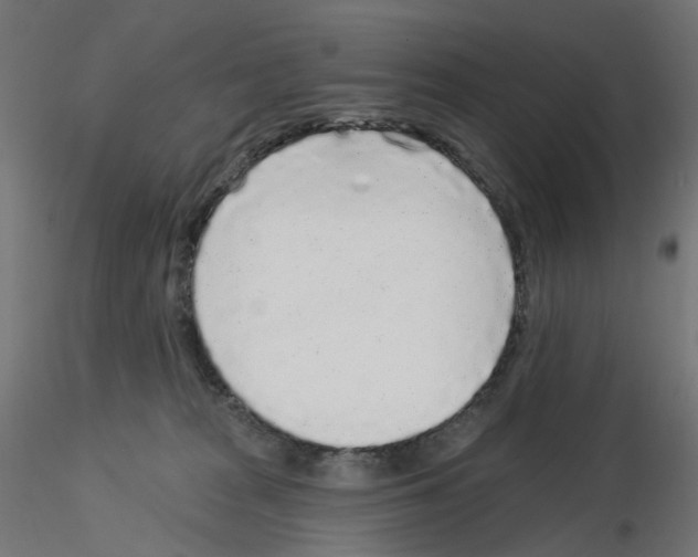 X0000115550277200912181600