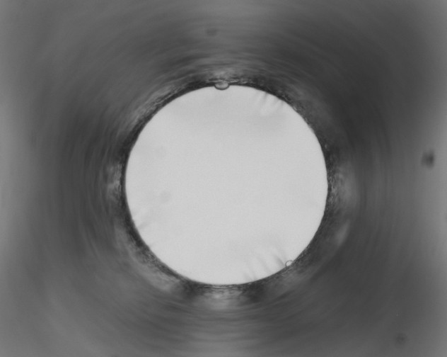 X0000115550278200912181600