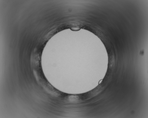 X0000115550279200912181600