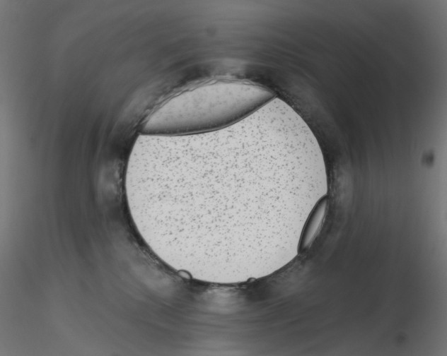 X0000115550280200912181600