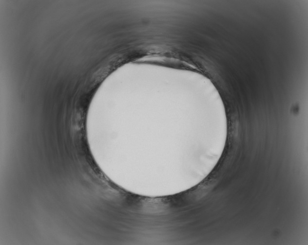 X0000115550281200912181600