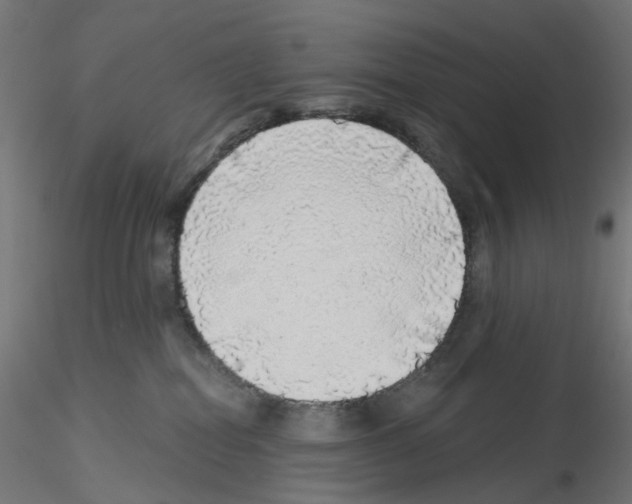 X0000115550282200912181600