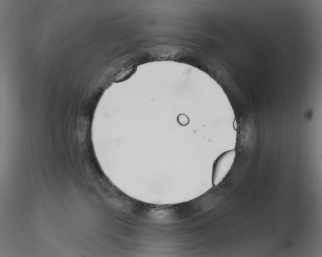 X0000115550283200912181600