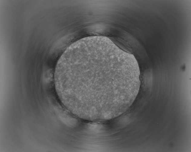 X0000115550284200912181600