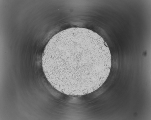 X0000115550285200912181600