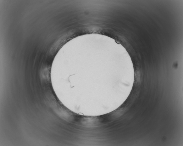 X0000115550286200912181600