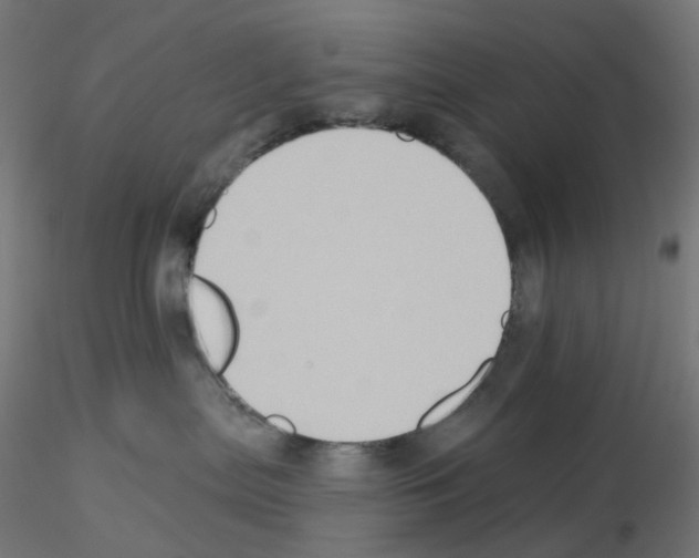 X0000115550287200912181600