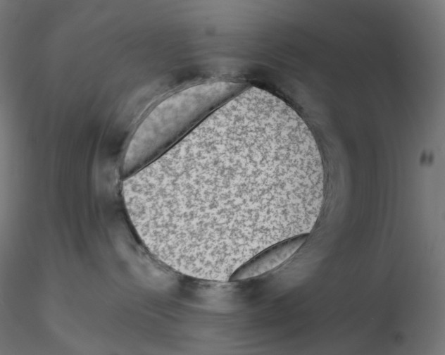 X0000115550288200912181600