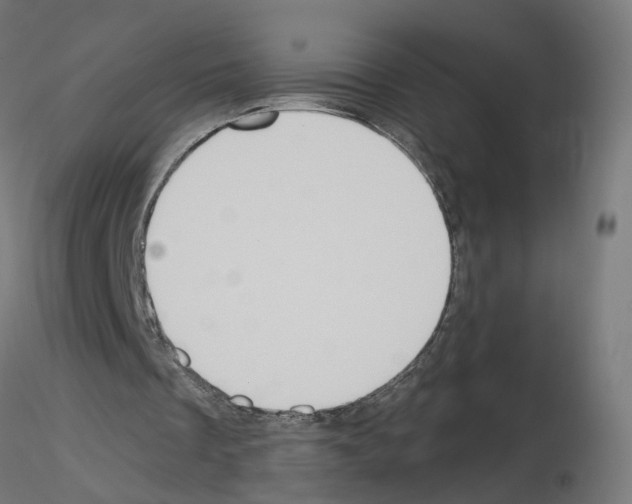 X0000115550289200912181559