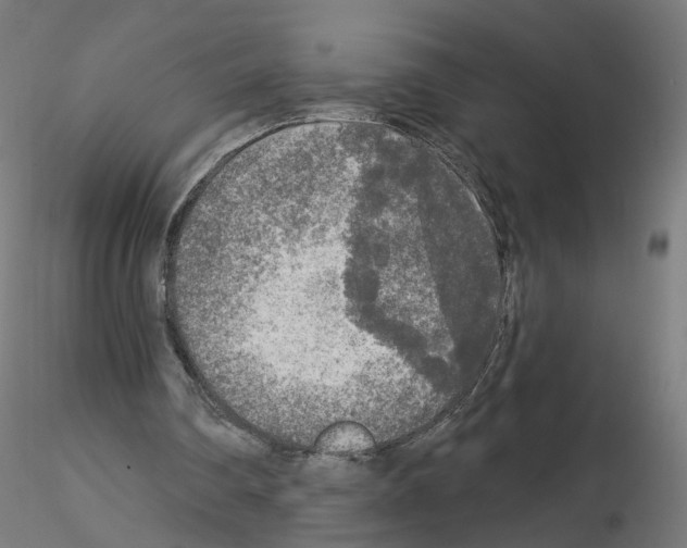 X0000115550290200912181559