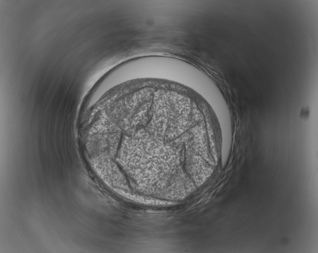 X0000115550292200912181559