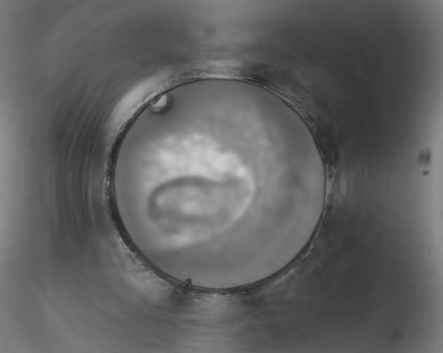 X0000115550293200912181559