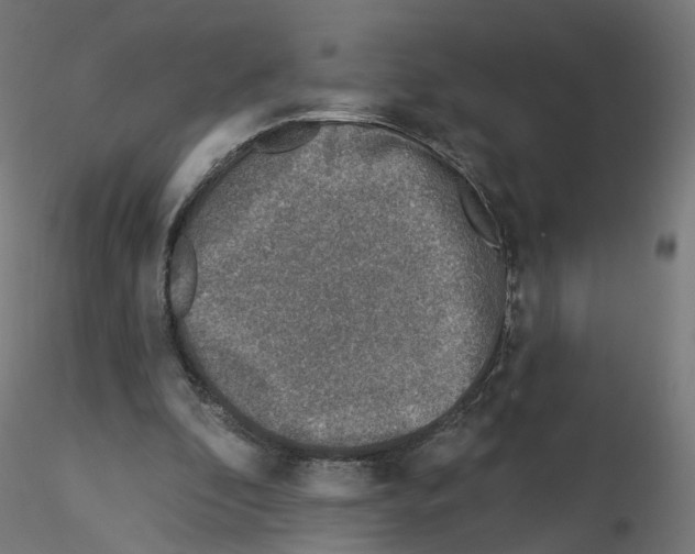 X0000115550296200912181559