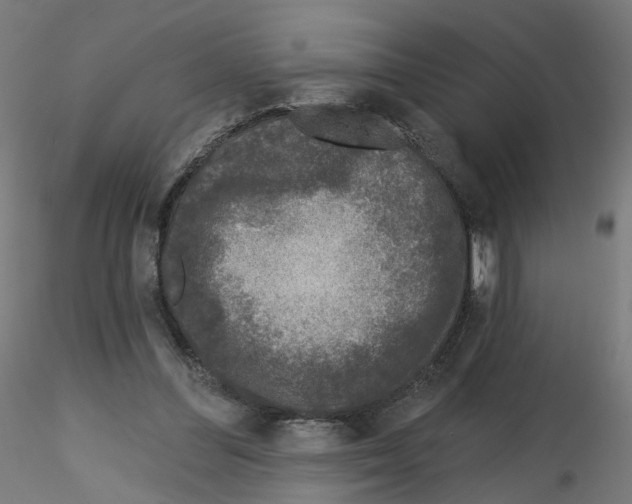 X0000115550300200912181559