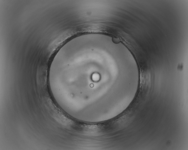 X0000115550301200912181559