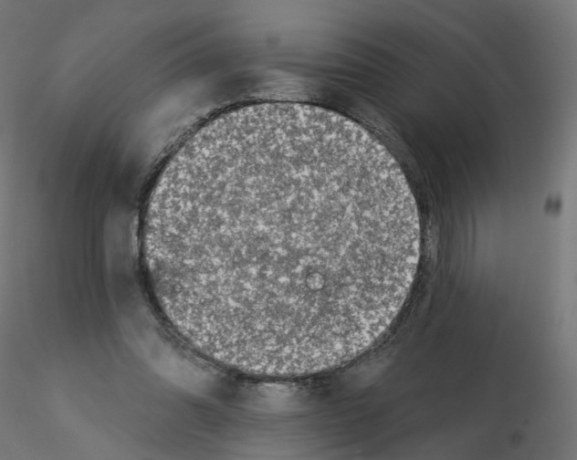 X0000115550302200912181559