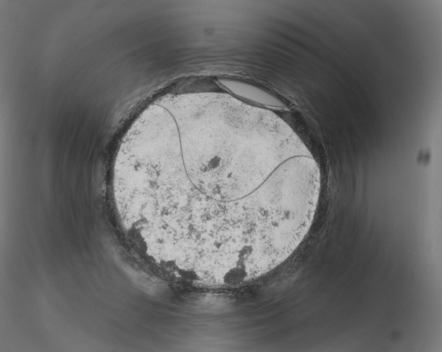 X0000115550303200912181559