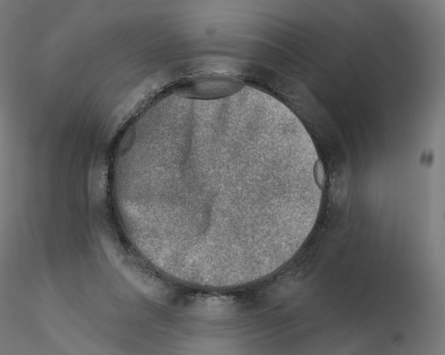 X0000115550304200912181559