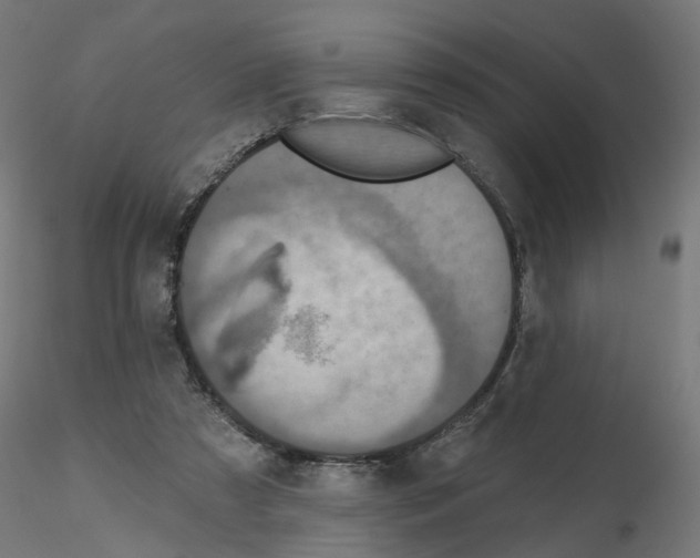 X0000115550305200912181559