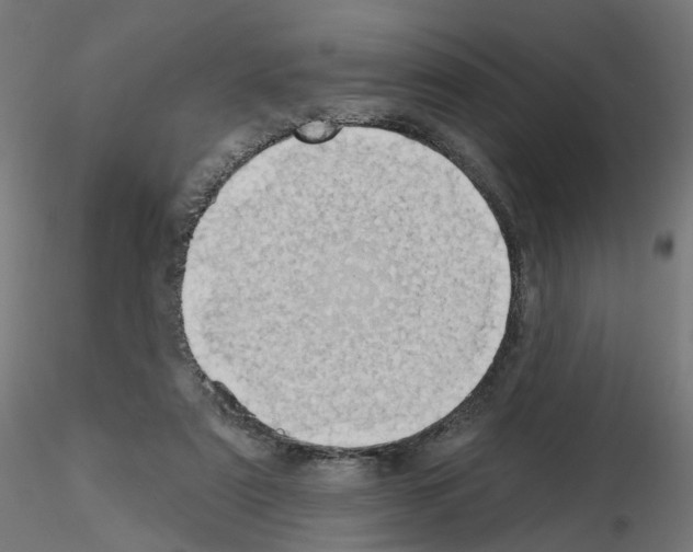 X0000115550307200912181559