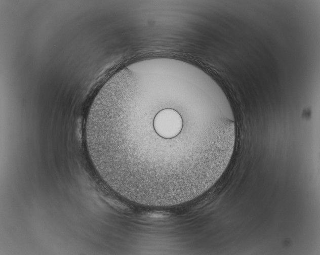 X0000115550308200912181559