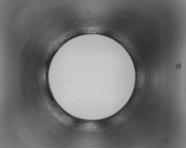 X0000115550310200912181559