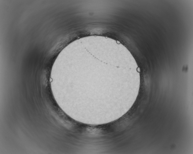 X0000115550311200912181559