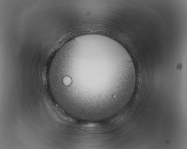 X0000115550312200912181559