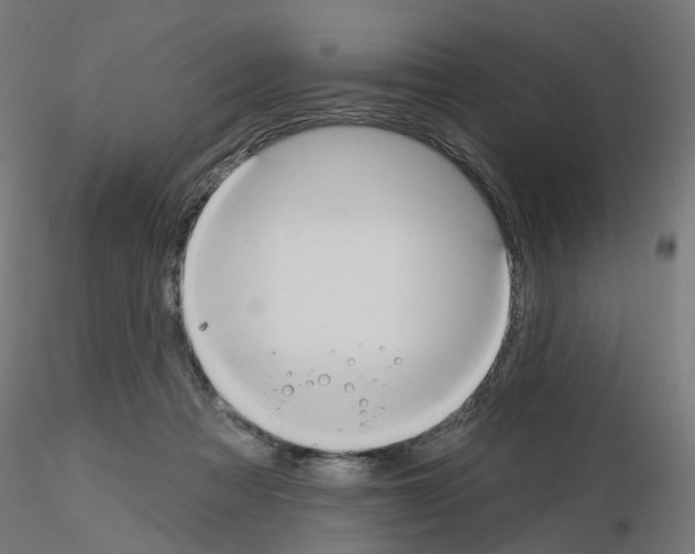 X0000115550313200912181559