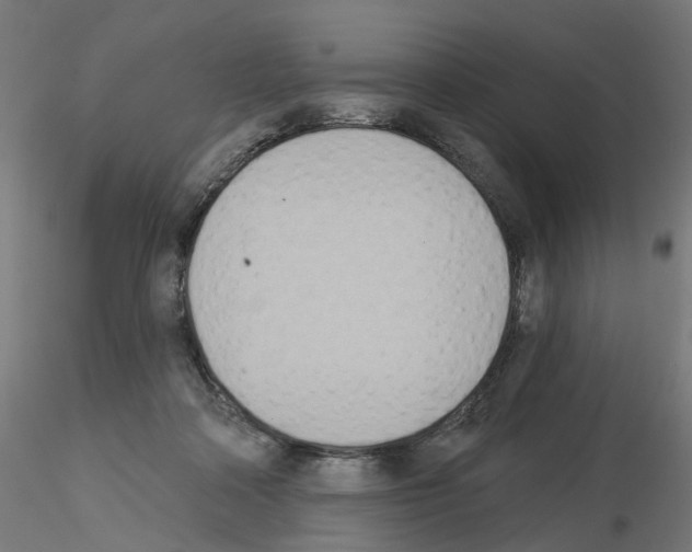 X0000115550314200912181559